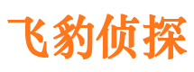 西峡侦探社